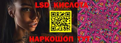 гидра Новозыбков