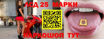 гашиш Новодвинск