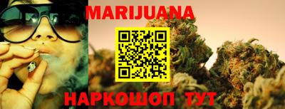 гидра Новозыбков