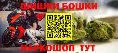 гидра Новозыбков