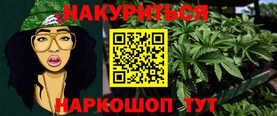 гидра Новозыбков