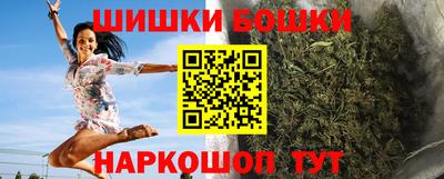 гидра Новозыбков