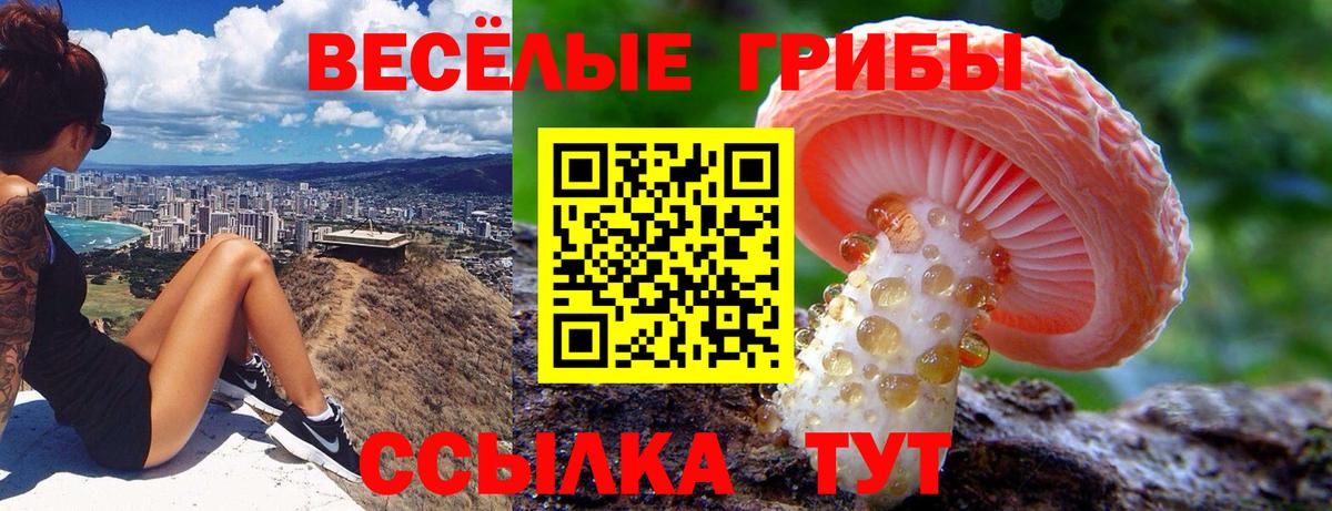 Псилоцибиновые грибы MAGIC MUSHROOMS Северск