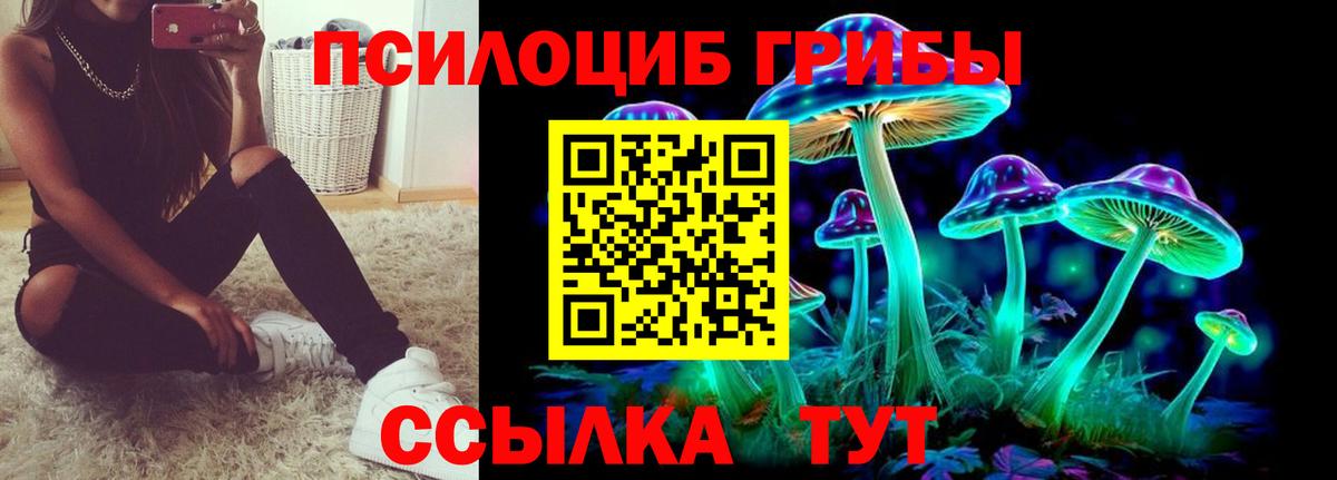 Северск  Псилоцибиновые грибы Psilocybe  Вход с VPN 